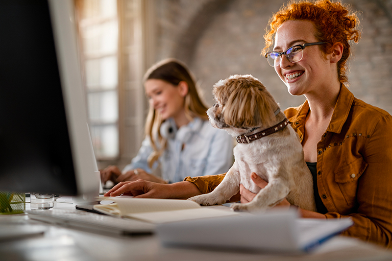 Votre Expert Assurance Santé Animale